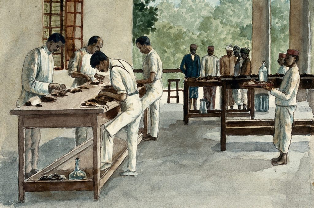 Watercolour painting of a group of men standing on an outdoor porch around a table working on rat carcasses. A group of men stand watching them in the background, and a man stands on the right of the painting holding a tray with a bottle of water and food.